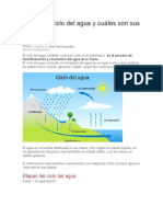 Qué Es El Ciclo Del Agua y Cuáles Son Sus Etapas