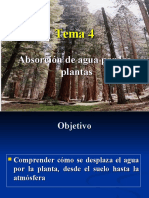 Tema 4. Absorcion y Transporte de Agua en La Planta