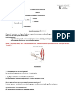 EL APARATO LOCOMOTOR. Tema 3. Efectúa Respuestas Musculares Mediante Movimientos. - Cartílagos. Aparato Locomotor (Resumen)