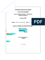 Cap.8 SGIp - ClasesVirtuales23-11-2022FinalOKSïRevisado P. Estud.