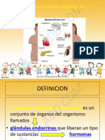 Sistema Endocrino