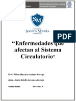 10 Enfermedades Al S.Circulatorio