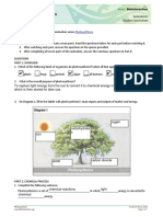 Photosynthesis Hhmi Biointeractive