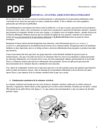 Entrenamiento de La Musculatura Abdominal