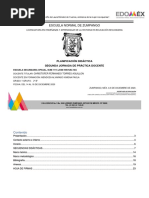 Segunda Planeación Mendoza Firmada