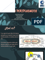 Espacio Periplasmico