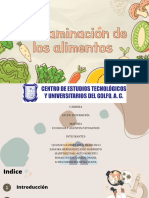 Contaminacion de Los Alimentos