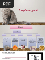 Toxoplasma Final