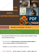 Obtencao de Materia Pelos Seres Heterotroficos