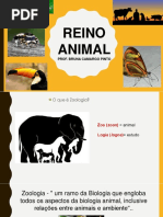 Reino Animal