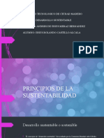 Principios de La Sustentabilidad