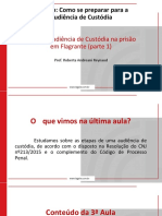 Audiência de Custódia PT3