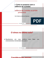 Audiência de Custódia PT5