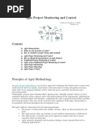 Agile Project Monitoring and Control