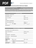 Pauta de Evaluación de Práctica en Terreno