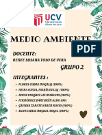 Grupo 2 - Contaminacion Ambiental