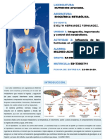 Influencia de Las Hormonas en El Metabolismo.