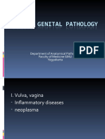 Female Genital Pathology