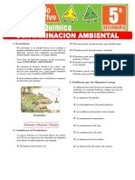 Contaminacion Ambiental para Quinto Grado de Secundaria