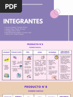 Producto N°8 Examen Parcial