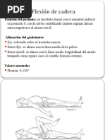 Goniometria - MI