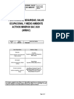 PASSOMA Plan Anual de SSOMA 2020 Consolidado