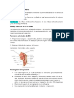 Primeros Auxilios