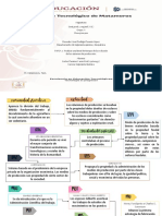 Linea Del Tiempo de La Evolución de Los Sistemas de Producción