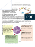 Alimentos y Dieta