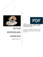 Sistem Reproduksi