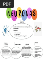 Neuronas