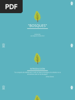 Bosques - Axel Estaña