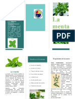 Folleto La Menta