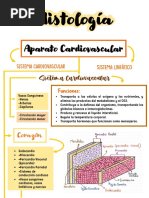 Resumen Aparato Card.