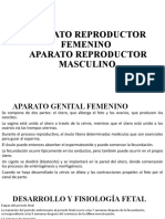 Aparato Reproductor Femenino Aparato Reproductor Masculino