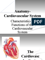 LECT 11. Anatomy of CVS