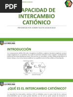 Cap-7-Capacidad de Intercambio Catiónico