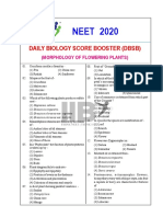 DBSB Morphology