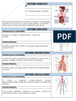 Sistemas Del Cuerpo Humano