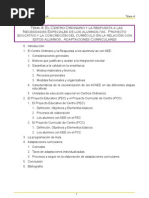 PEC-PCC y Las NEEs en Centros Ordinarios