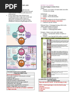 Iccms Caries Prevention and Treatment