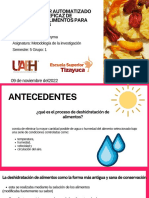 Proyecto de Investigación Presentación ZDZ