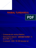 Rabia (Turbarea)