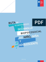 Ruta de Acompanamiento Al Desarrollo Biopsicosocial