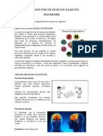 Procesos Cognitivo y Teoria de Piaget