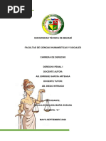 Realizar Un Análisis Comparativo Del Art52 COIP, Susana