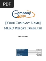 MLRO Report Template