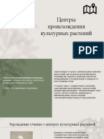 PDF Документ