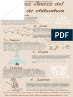 Infografía Proceso de Fabricación de Cerveza Ilustración Beige