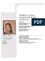 Marilet Lilian Mamani Guillen Auxiliar: Perfil